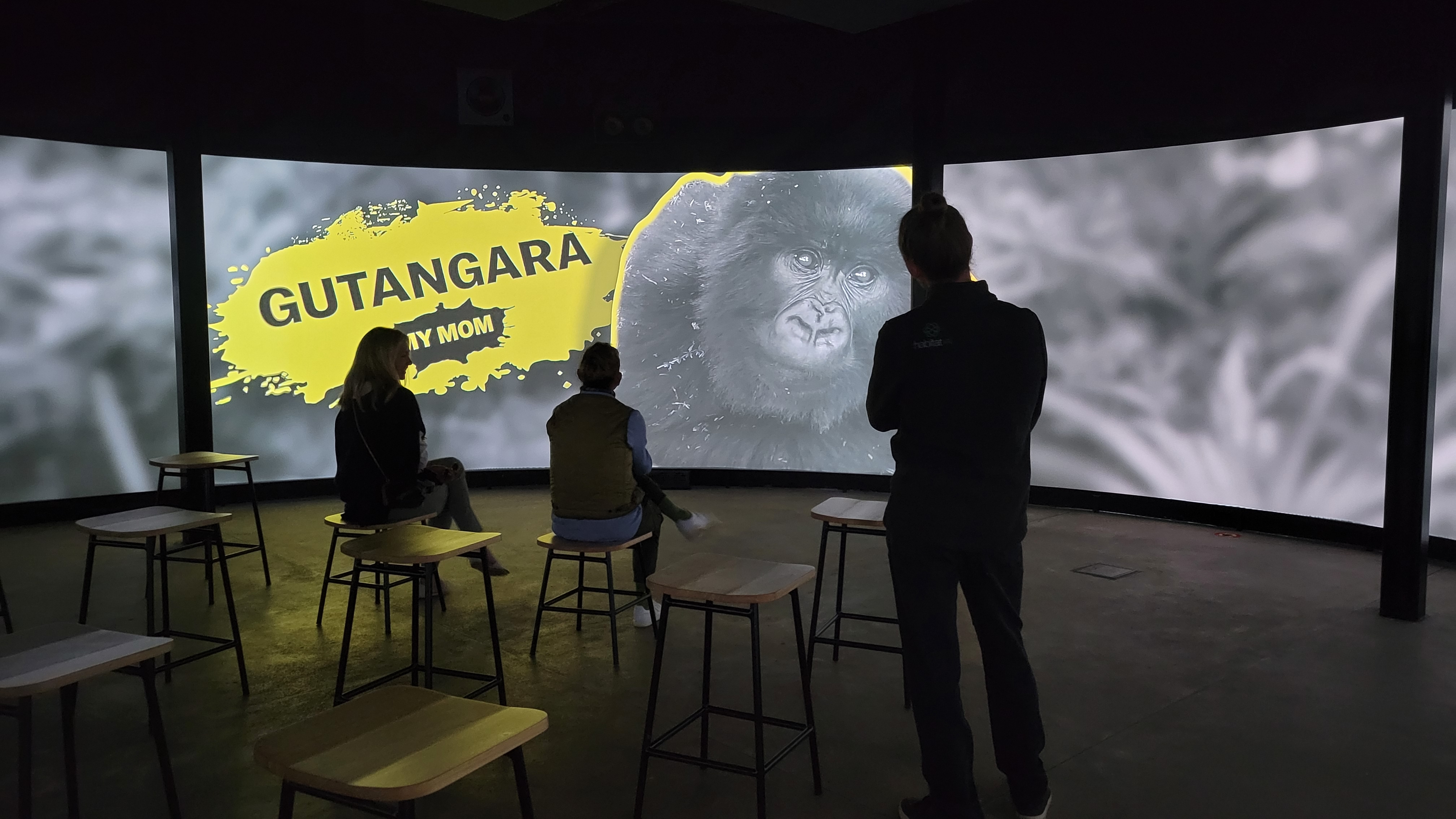 Three people observing a large curved screen showing a gorilla with the text 'Gutangara My Mom' in yellow.
