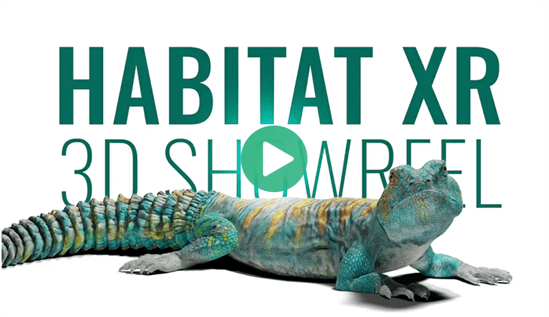 a 3D lizard and the title for a Showeel for Habitat XR's 3D work