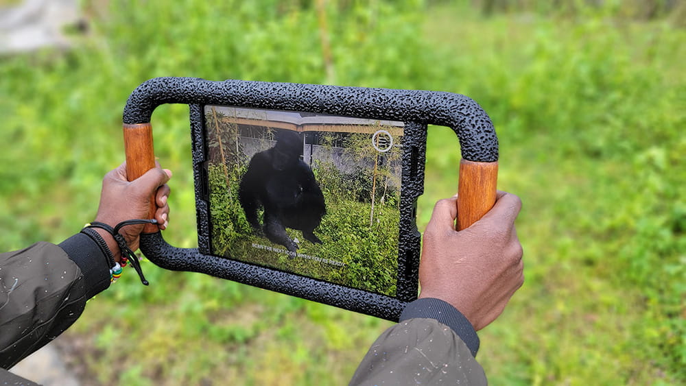 A custom rugged iPad case is used outdoors to view a gorilla through the GorillAR augmented reality trek experience.