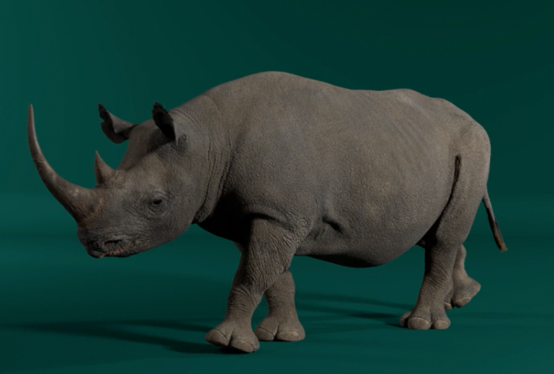 A 3D render of an adult black rhinoceros standing sideways on a dark green background.